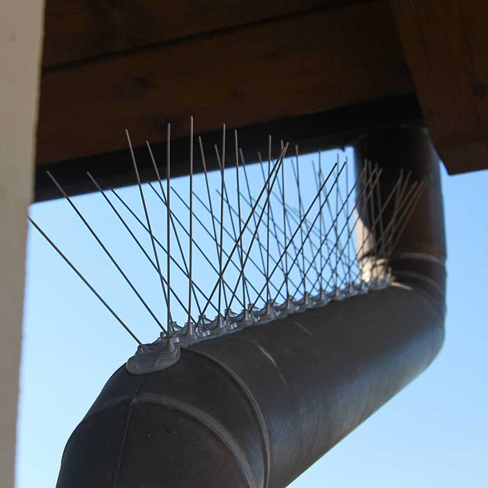 Dissuasori per piccioni Monza Brianza Lecco – Edilizia su corda  installazione deterrenti uccelli